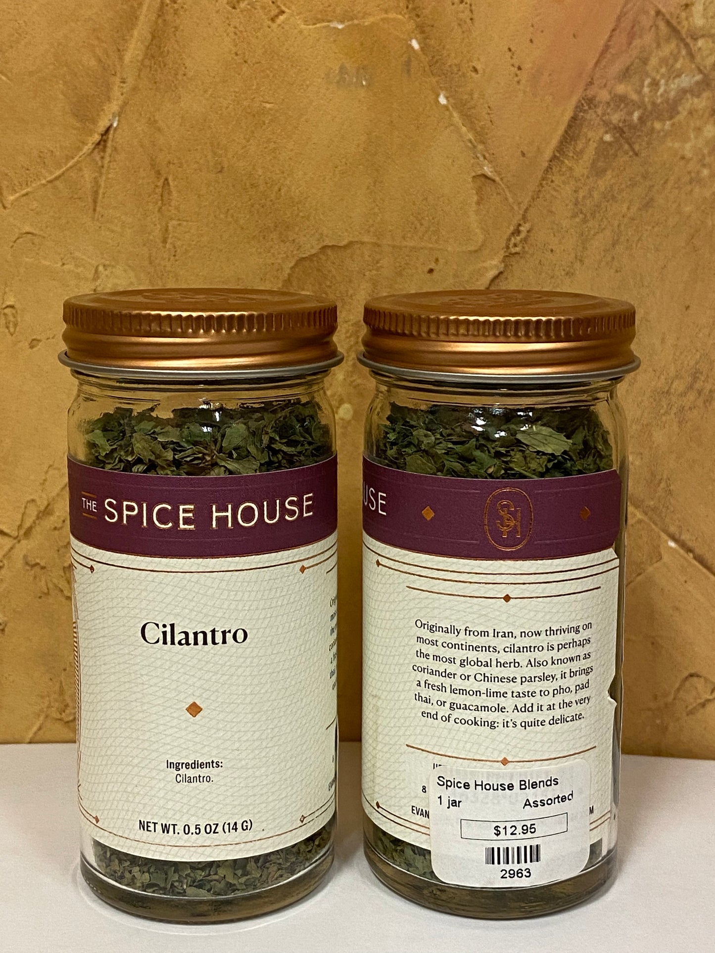 Cilantro